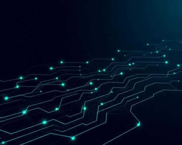 Payment & Wallet System